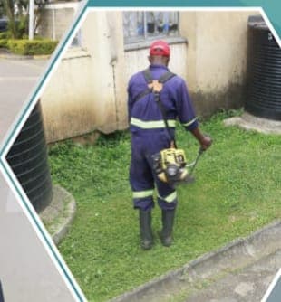 Pearl ECO Solutions cleaning team at work